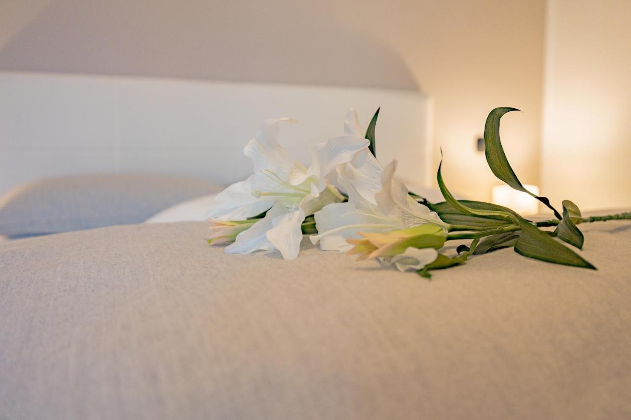 Milan Forum Camelia Guesthouse Assago Dış mekan fotoğraf